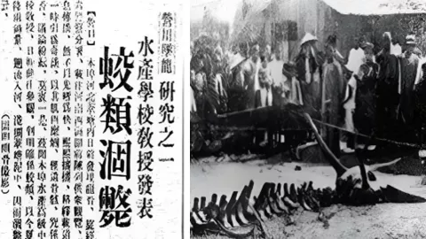 1934年营口坠龙事件
