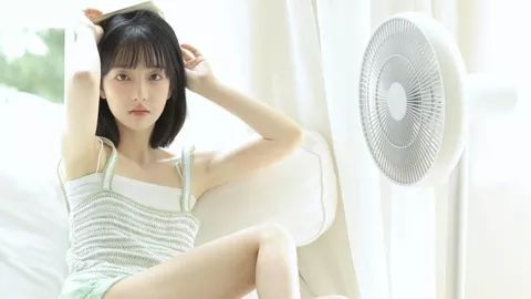 家庭借款纠纷
