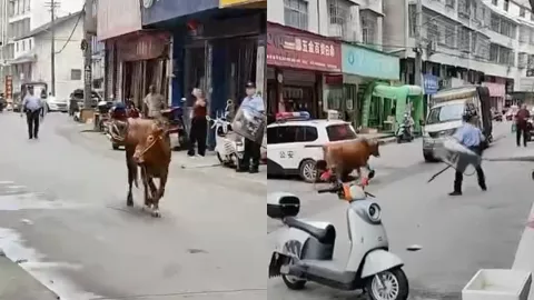 益阳安化