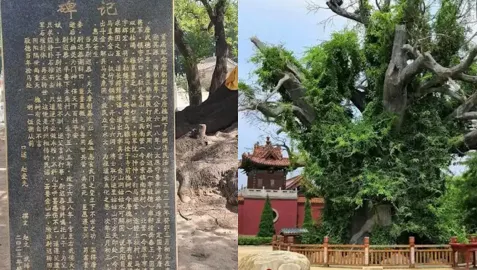 石家庄灵异事件