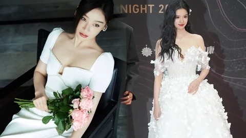 北影节红毯突降大雨事件全