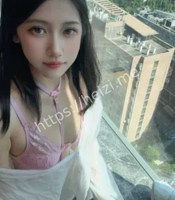 不呆猫