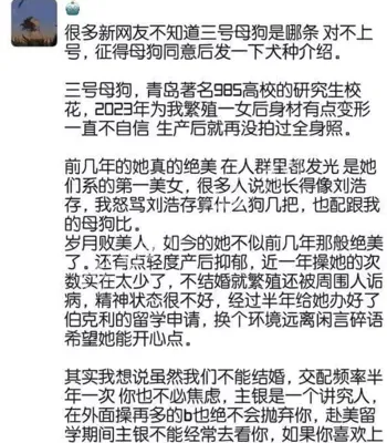 极品校花