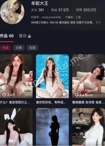 羊驼大王