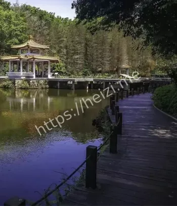 弘法寺灵异