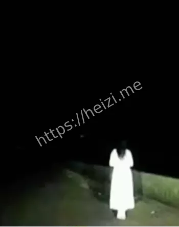 游客惊魂
