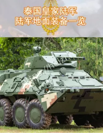 国际社会调停