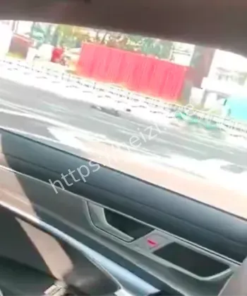 击毙