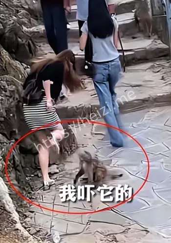 不道德行为