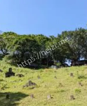 山坡埋葬