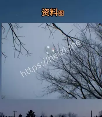 维奥维加