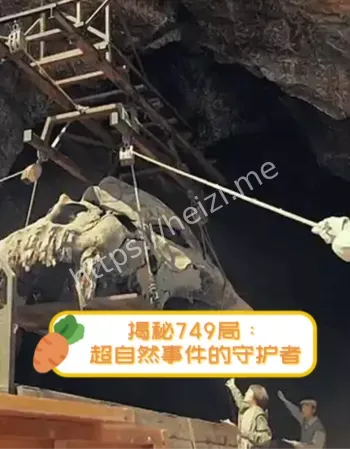 白毛凤