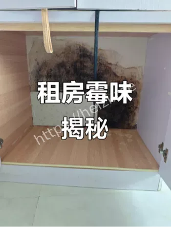 厕所怪声