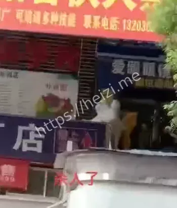 女老板被杀