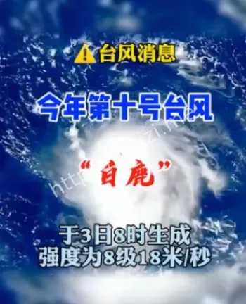 台风白鹿
