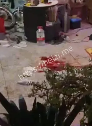 汕头澄海重大案件