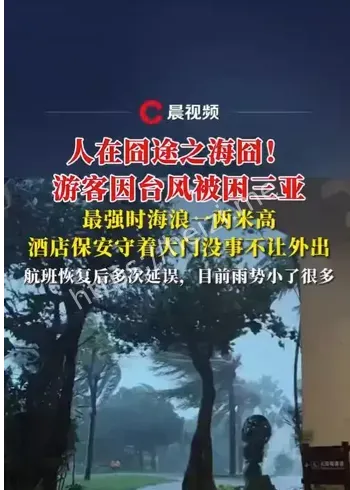 台风剑鱼