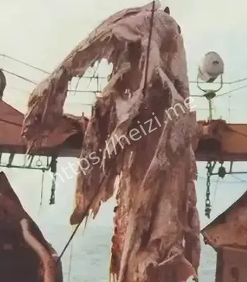 南澳岛