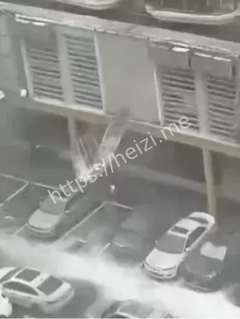 大树压电瓶车主