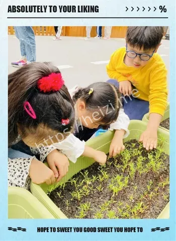 5分钟沉浸式体验播种到收获