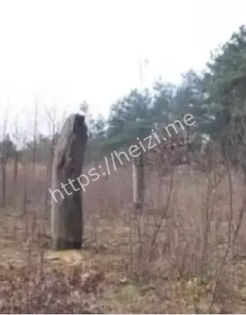 都溪林场