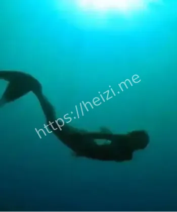 南海人鱼事件