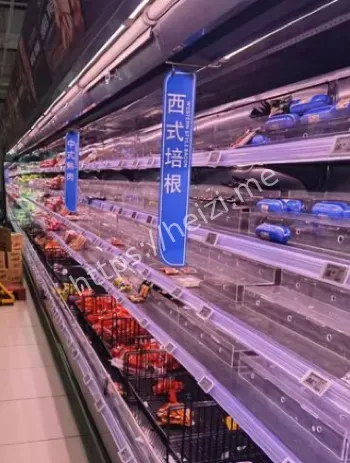 东北小伙组队抢劫