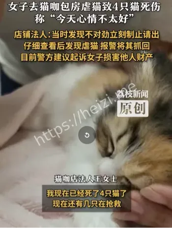 沈阳