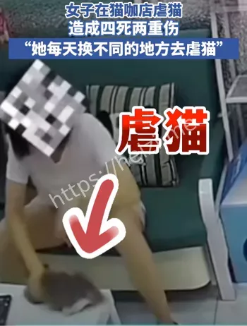个人信息