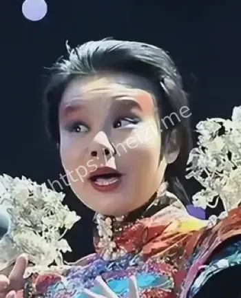 龚琳娜离婚