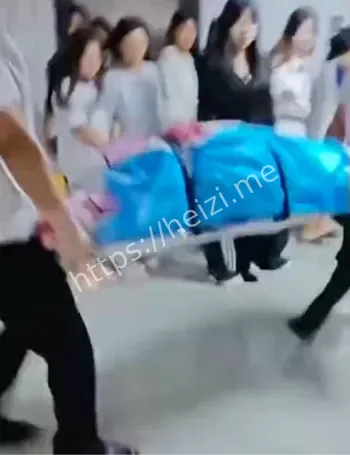 甘肃农大