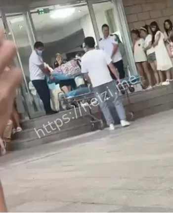 甘肃农大