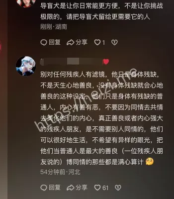 泰山夜爬导盲犬权益争议