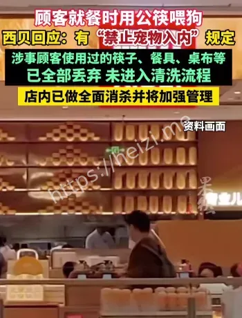 西贝公筷喂狗事件解读