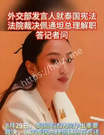 佩通坦解职
