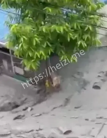 台湾台风死亡失踪