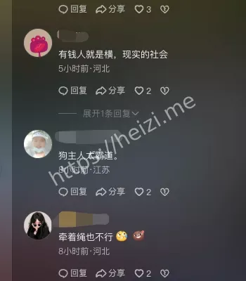狗吓到孩子