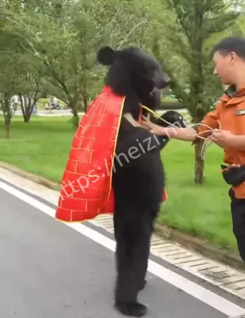 动物习性