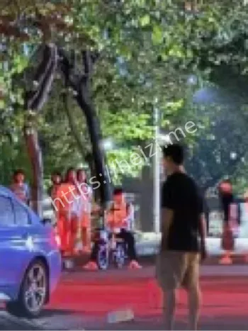 金雷老师醉酒驾车