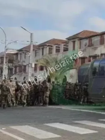 水电短缺示威失控