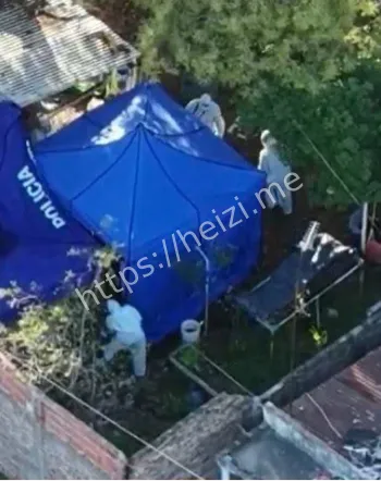 阿根廷直播杀害三女子