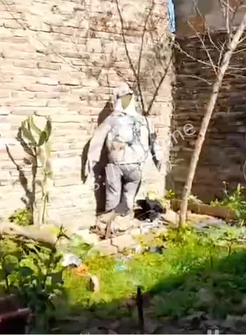 误上贼车死亡派对真相