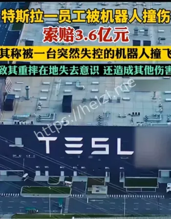 特斯拉丑闻曝光