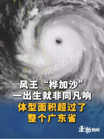 超强台风桦加沙