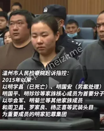 明家烧杀掳掠图片