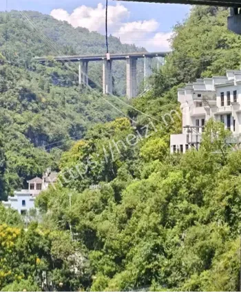景区事故