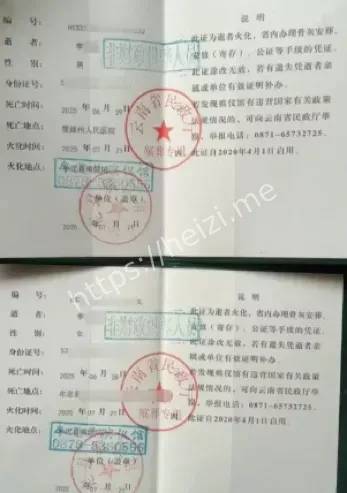 牟定县兄妹野蜂攻击