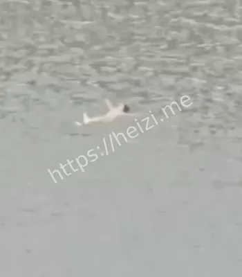 女学生自杀悲剧