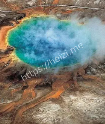 大棱镜温泉微生物