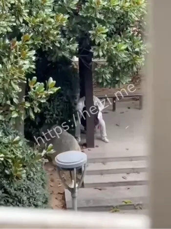 徐州技师学院